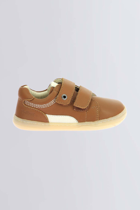 Kickboost Camel